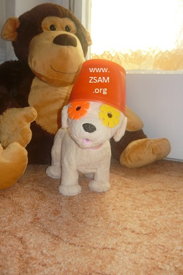 party dog stylish pimped